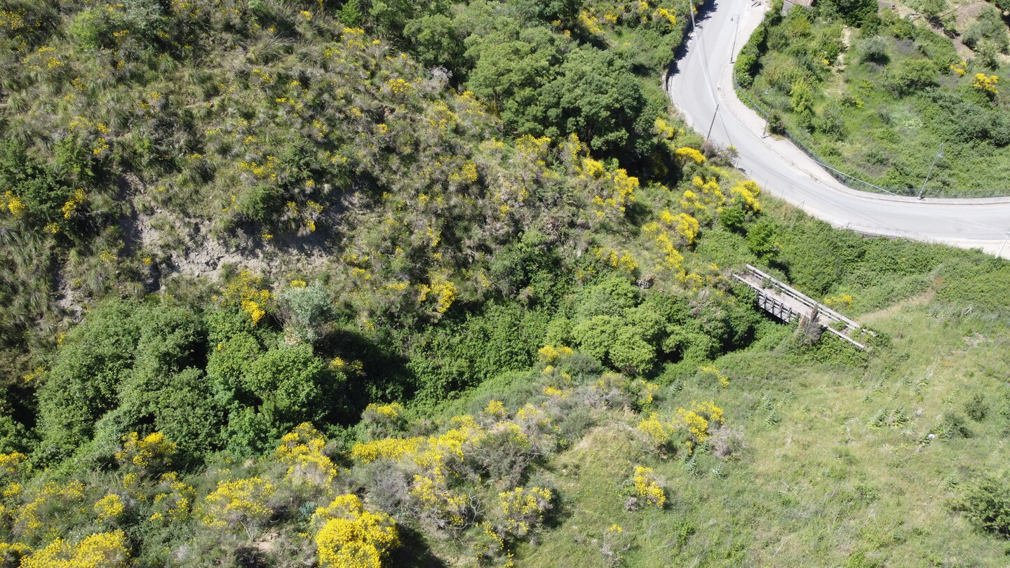 DCIM101MEDIADJI_0133.JPG Rudere con annesso terreno di 4 ettari