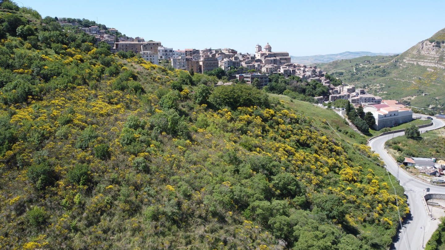 DCIM101MEDIADJI_0136.JPG Rudere con annesso terreno di 4 ettari