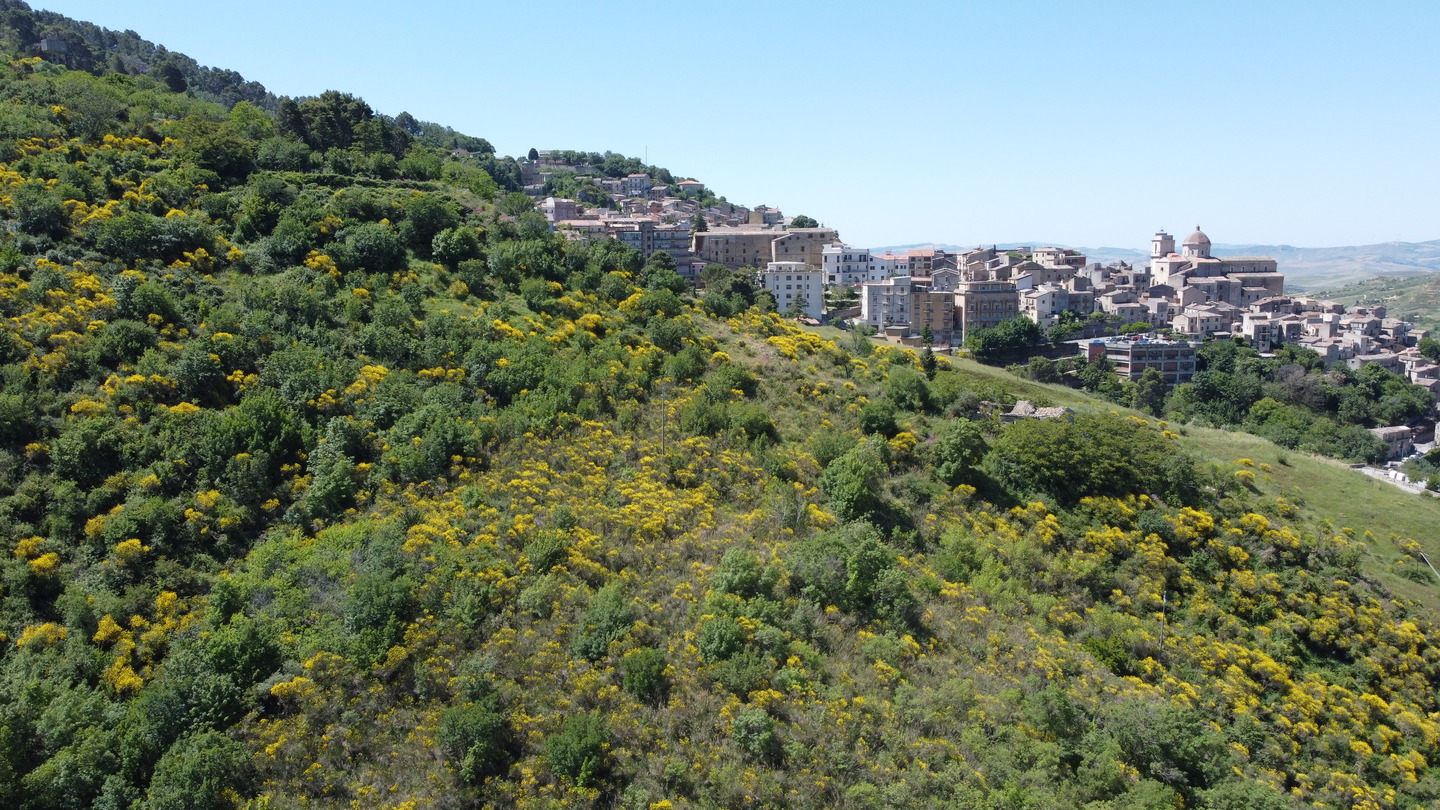 DCIM101MEDIADJI_0139.JPG Rudere con annesso terreno di 4 ettari