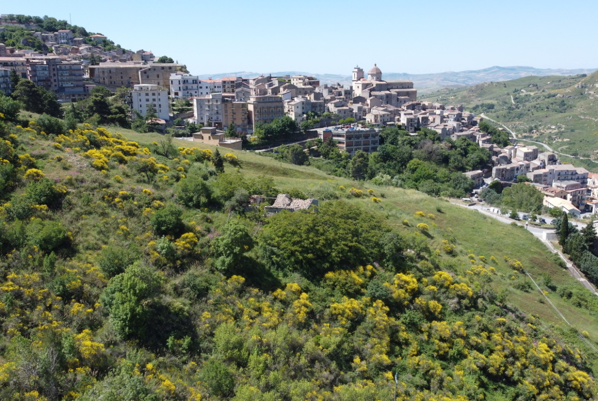 Rudere con annesso terreno di 4 ettari