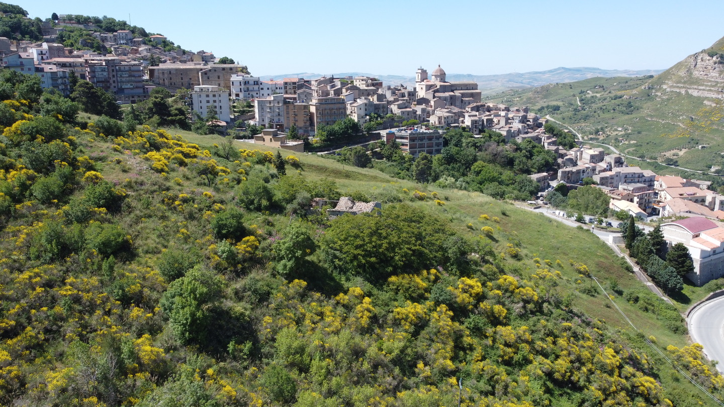 DCIM101MEDIADJI_0142.JPG Rudere con annesso terreno di 4 ettari