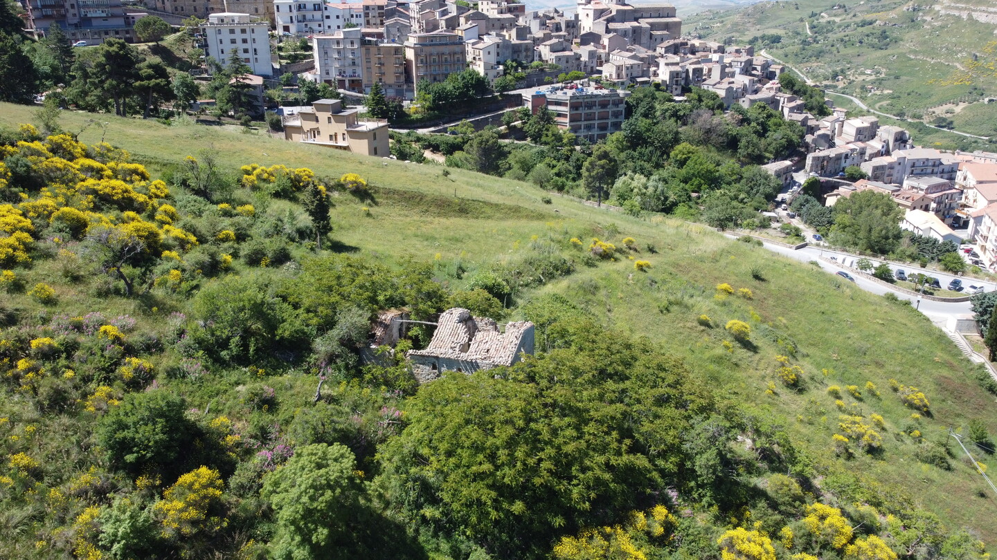DCIM101MEDIADJI_0145.JPG Rudere con annesso terreno di 4 ettari