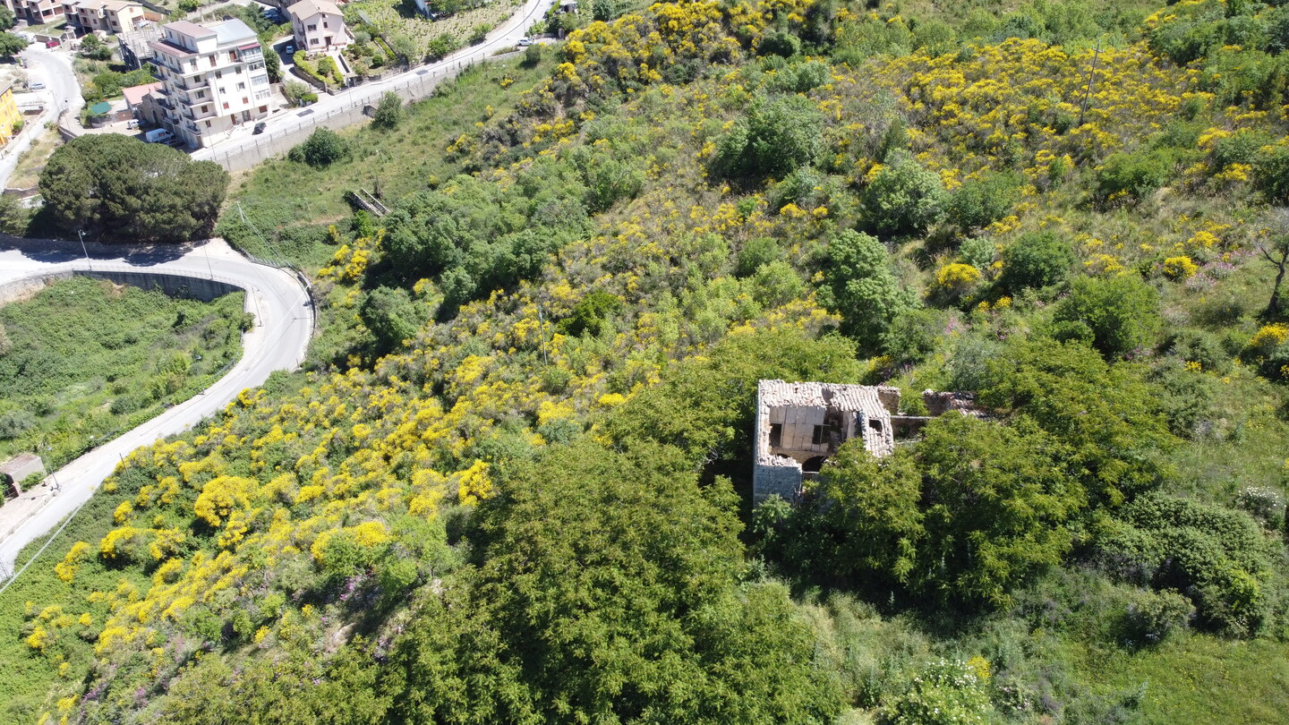 DCIM101MEDIADJI_0154.JPG Rudere con annesso terreno di 4 ettari