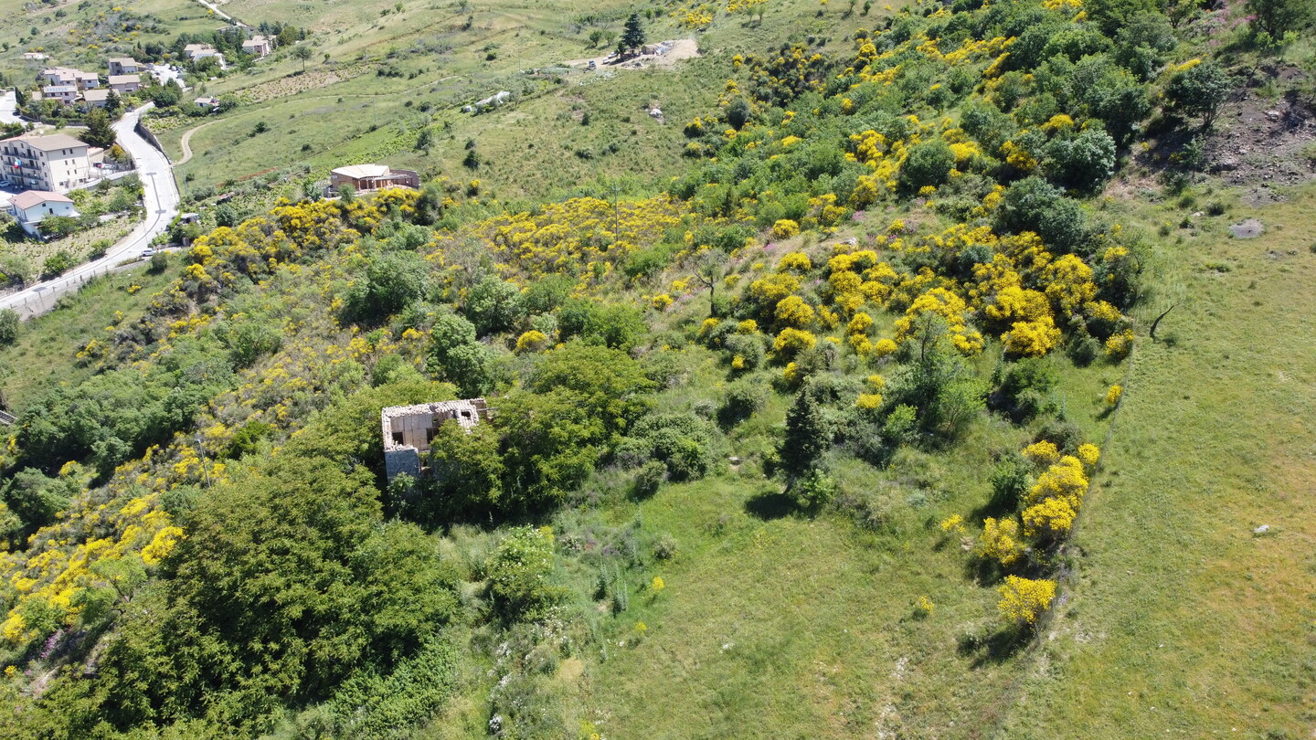 DCIM101MEDIADJI_0160.JPG Rudere con annesso terreno di 4 ettari