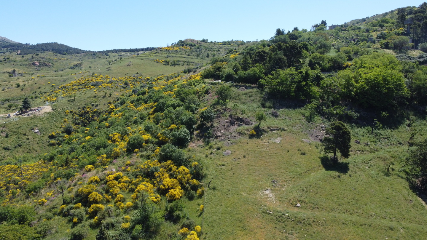 DCIM101MEDIADJI_0163.JPG Rudere con annesso terreno di 4 ettari