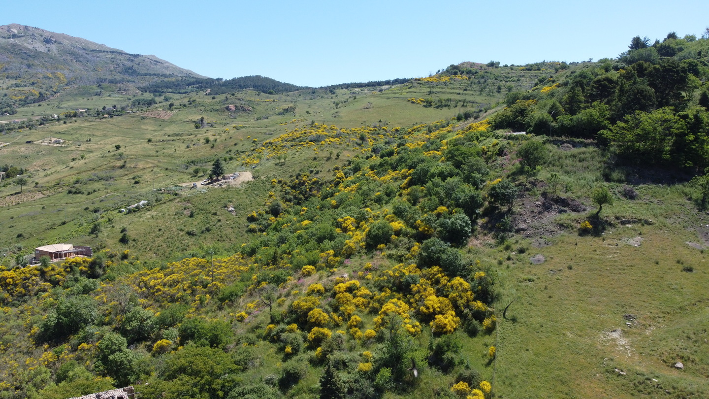 DCIM101MEDIADJI_0166.JPG Rudere con annesso terreno di 4 ettari