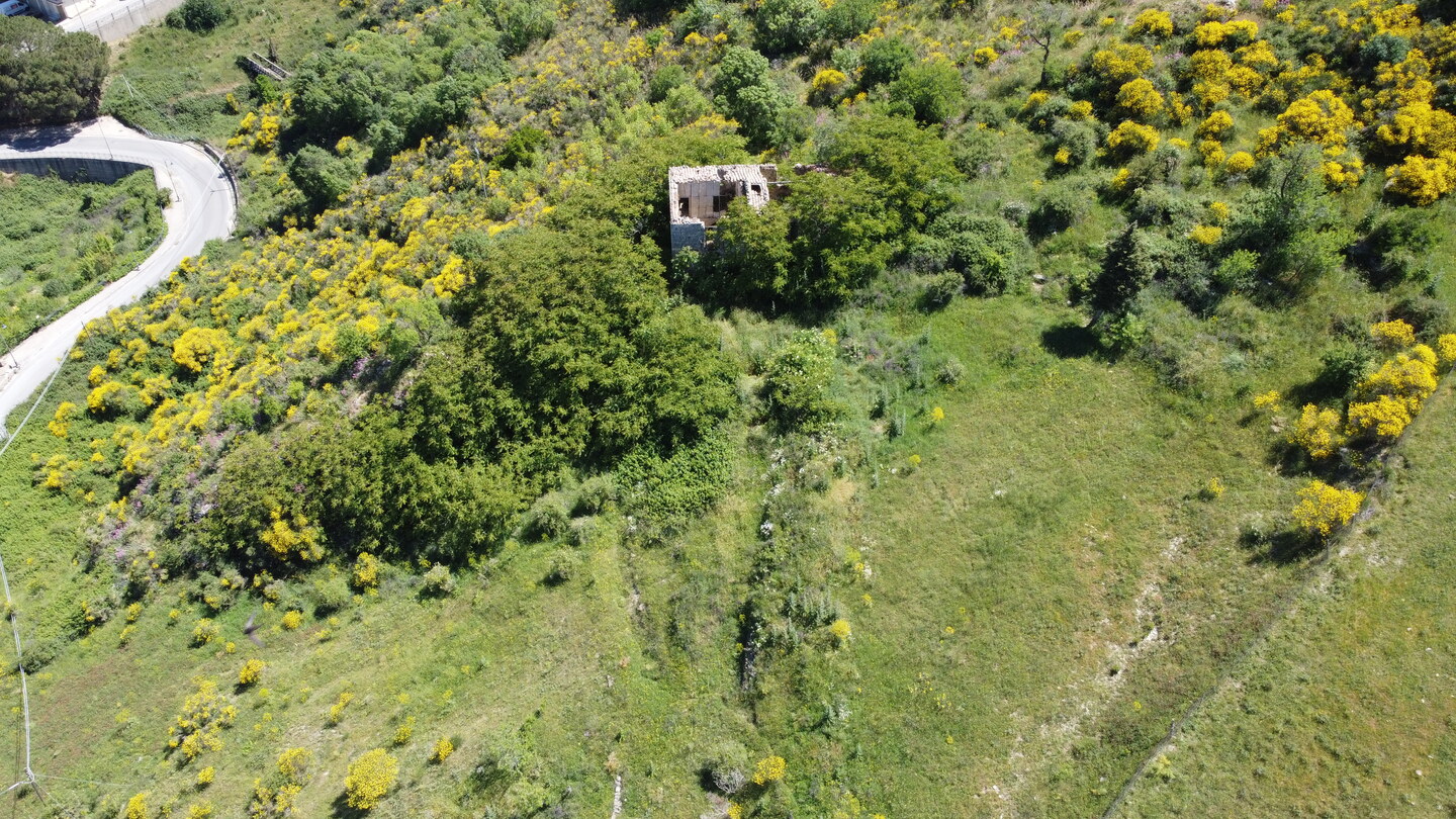 DCIM101MEDIADJI_0169.JPG Rudere con annesso terreno di 4 ettari