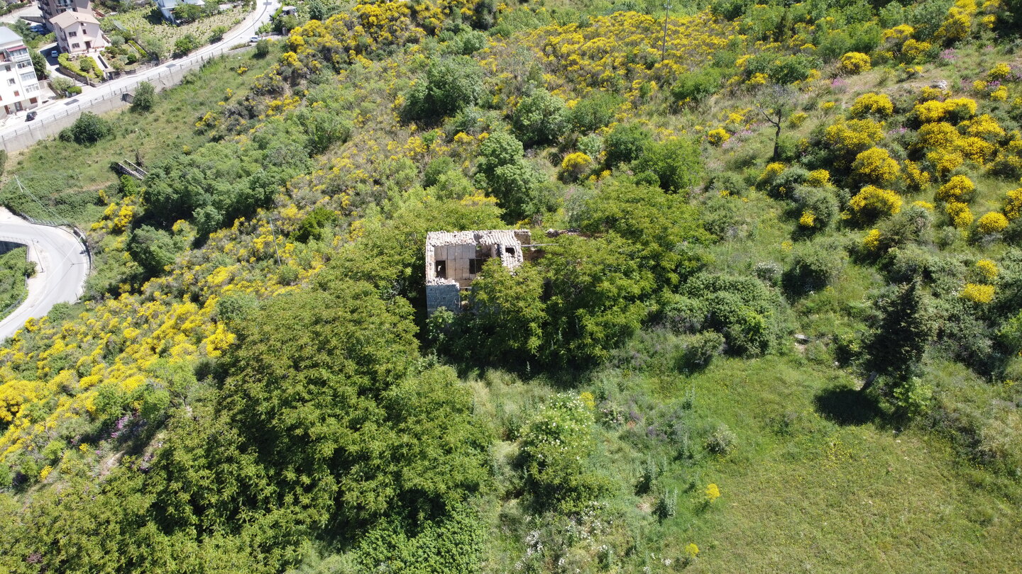DCIM101MEDIADJI_0172.JPG Rudere con annesso terreno di 4 ettari