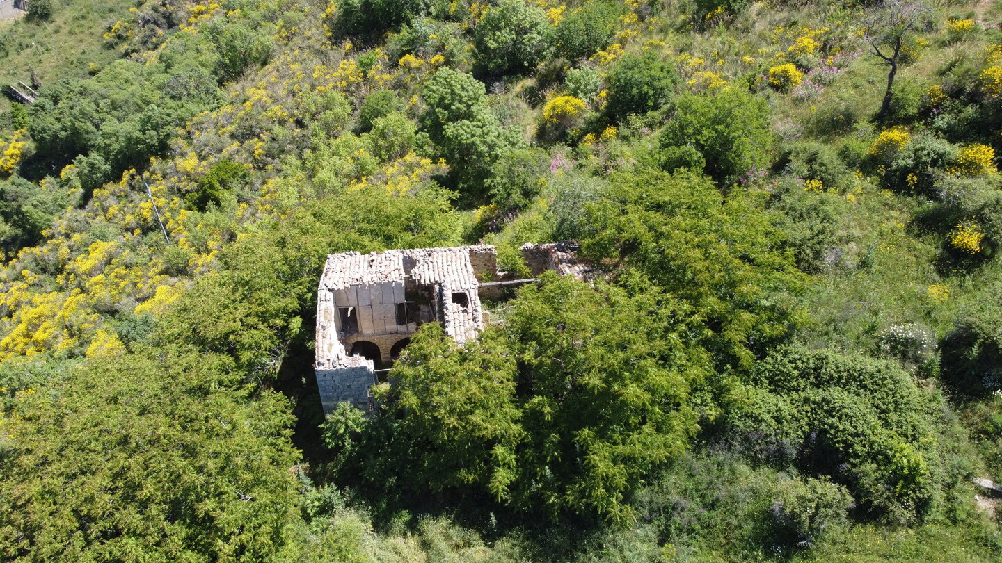 DCIM101MEDIADJI_0175.JPG Rudere con annesso terreno di 4 ettari