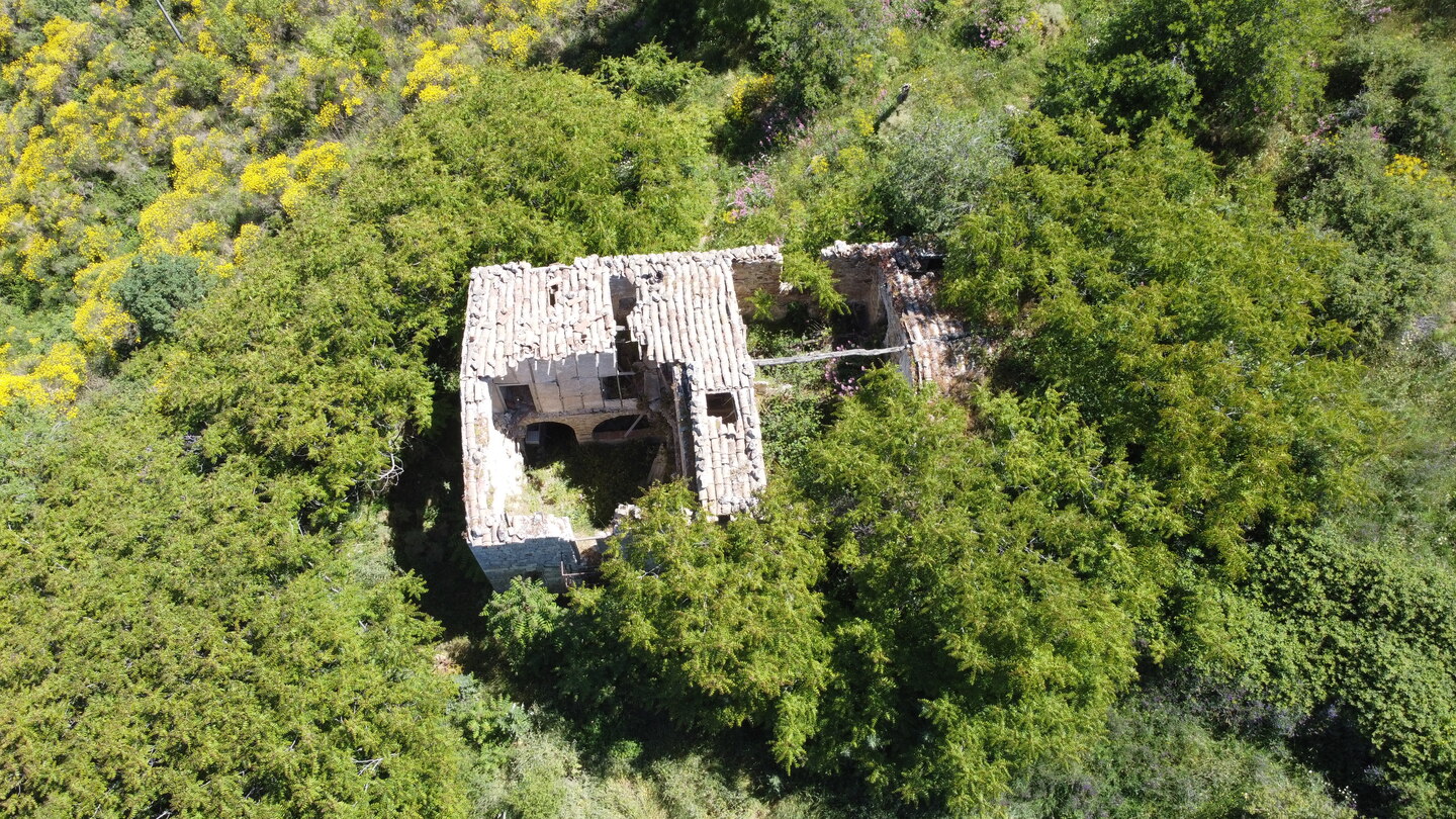 DCIM101MEDIADJI_0178.JPG Rudere con annesso terreno di 4 ettari
