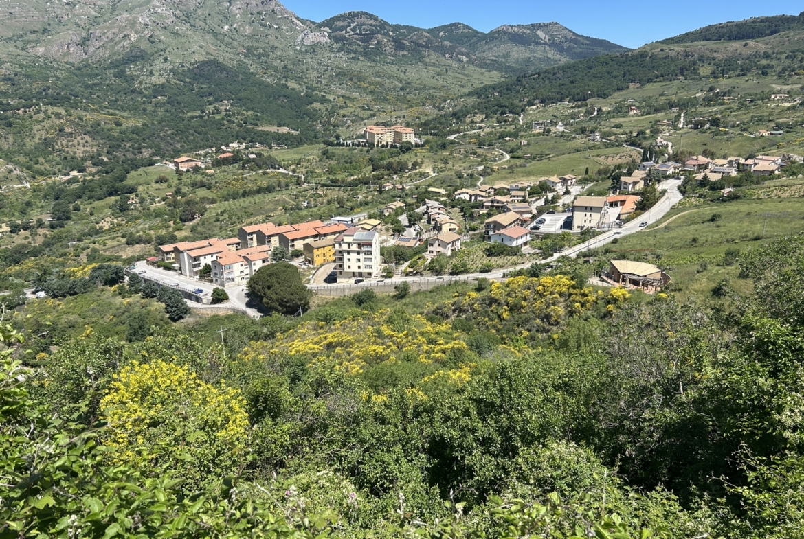 Rudere con annesso terreno di 4 ettari