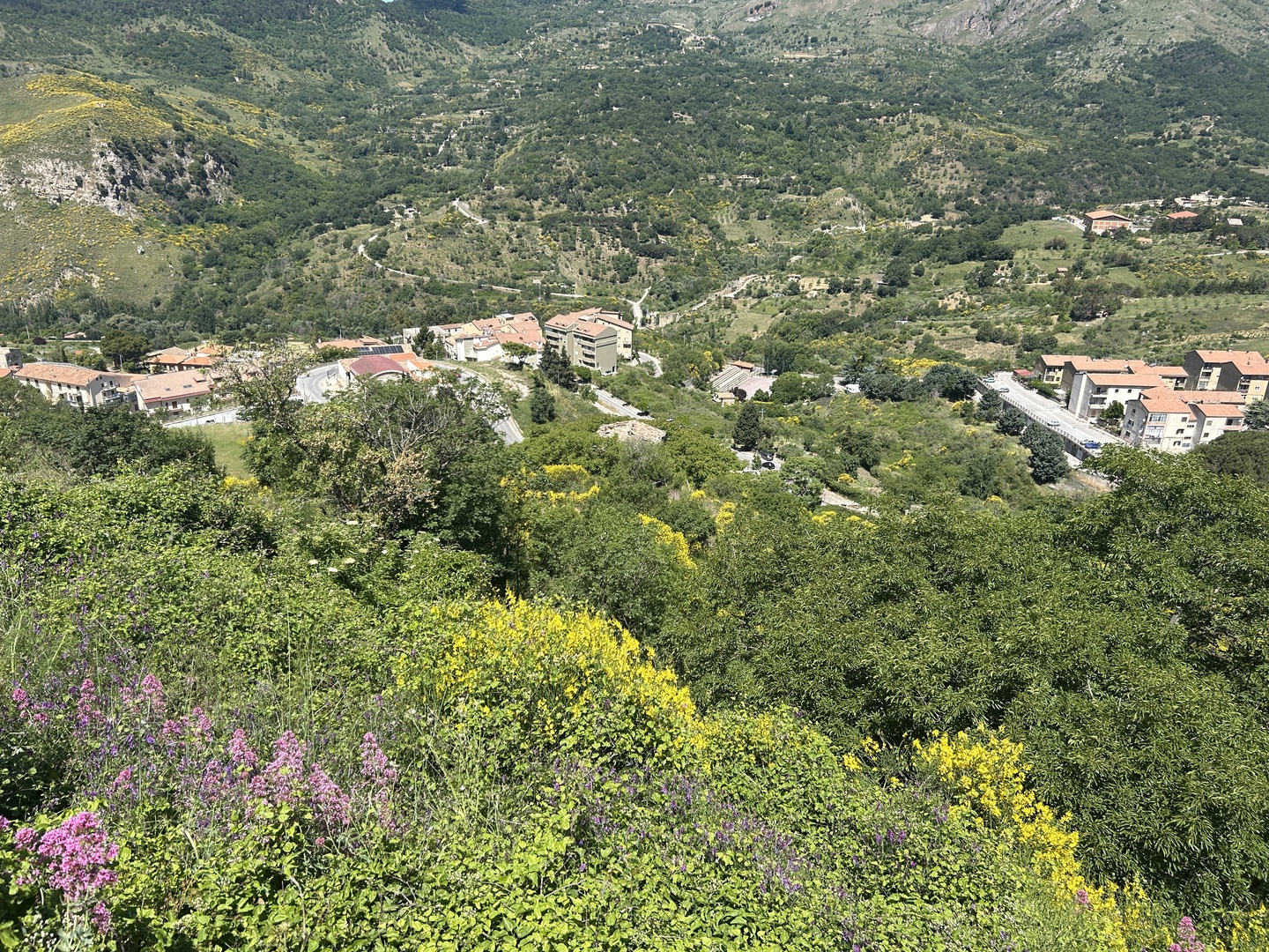 IMG_9604 Rudere con annesso terreno di 4 ettari