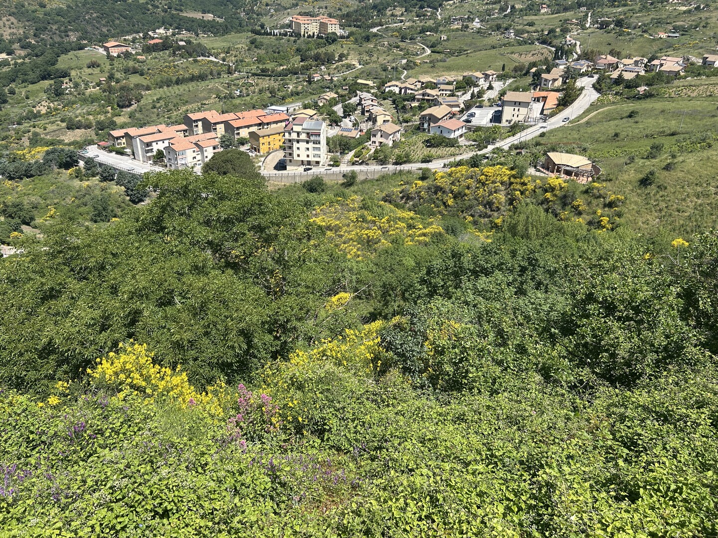 IMG_9605 Rudere con annesso terreno di 4 ettari