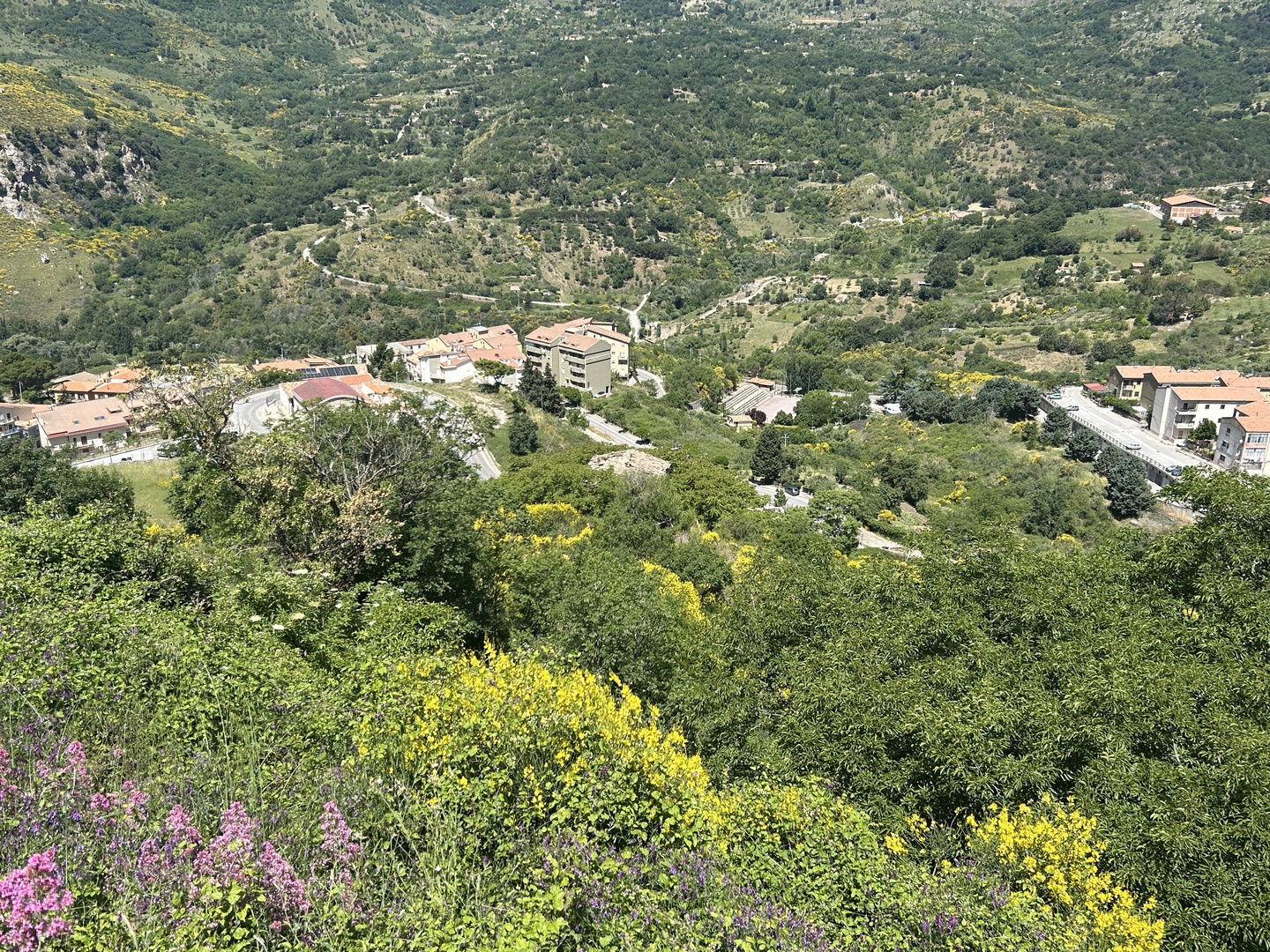 IMG_9606 Rudere con annesso terreno di 4 ettari