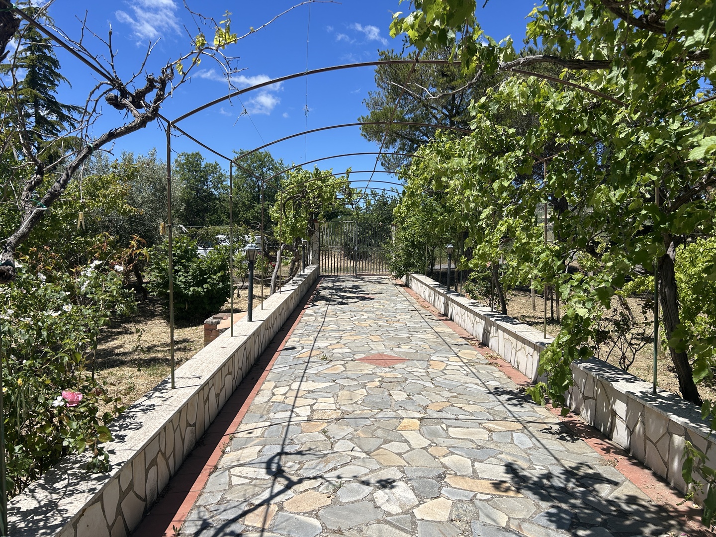Magazzino con terreno di pertinenza