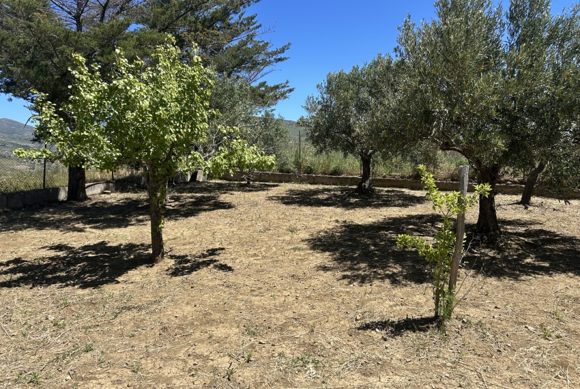 Magazzino con terreno di pertinenza