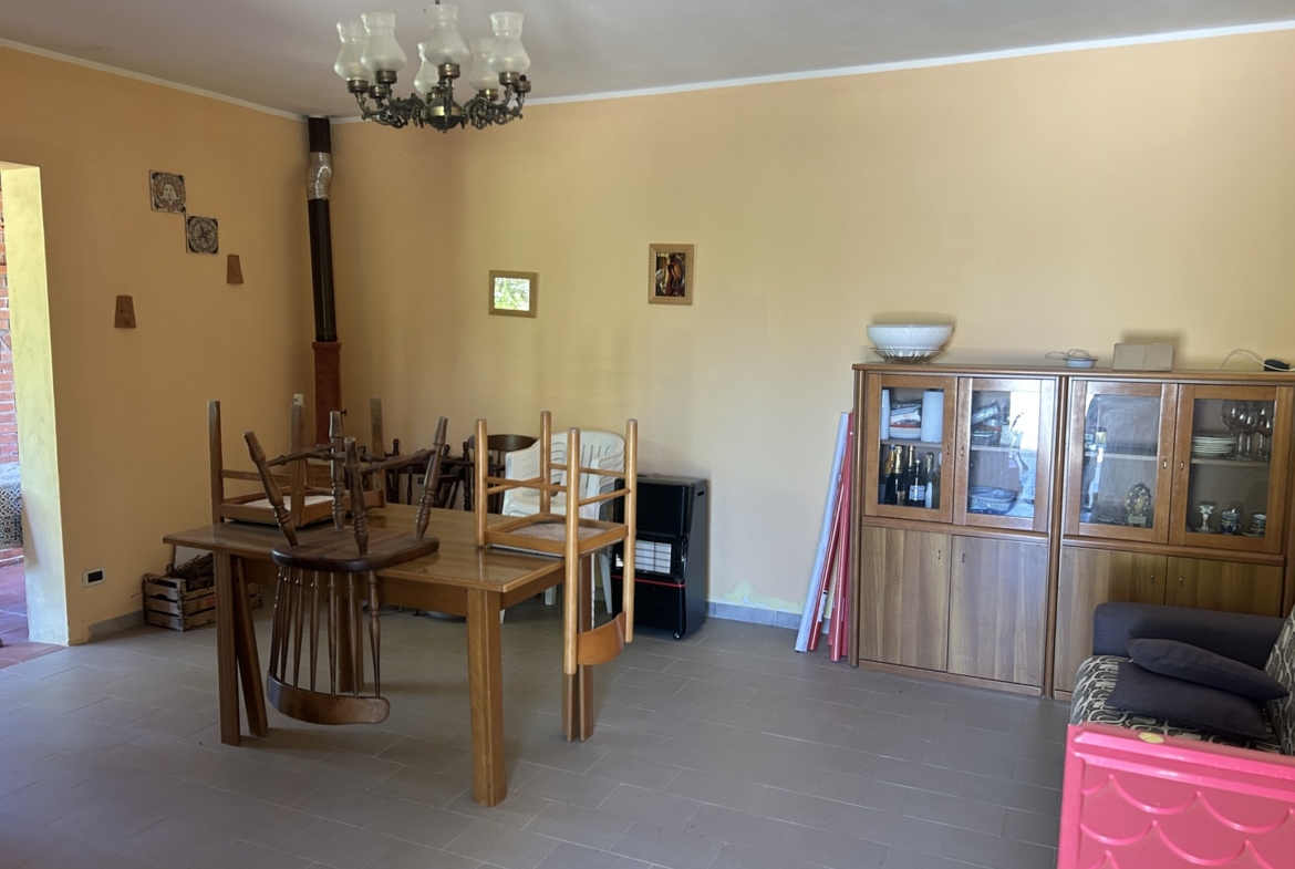 Magazzino con terreno di pertinenza