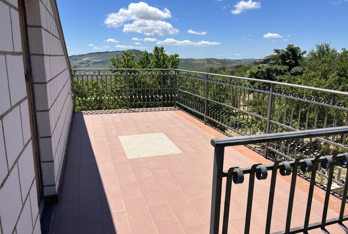 Magazzino con terreno di pertinenza