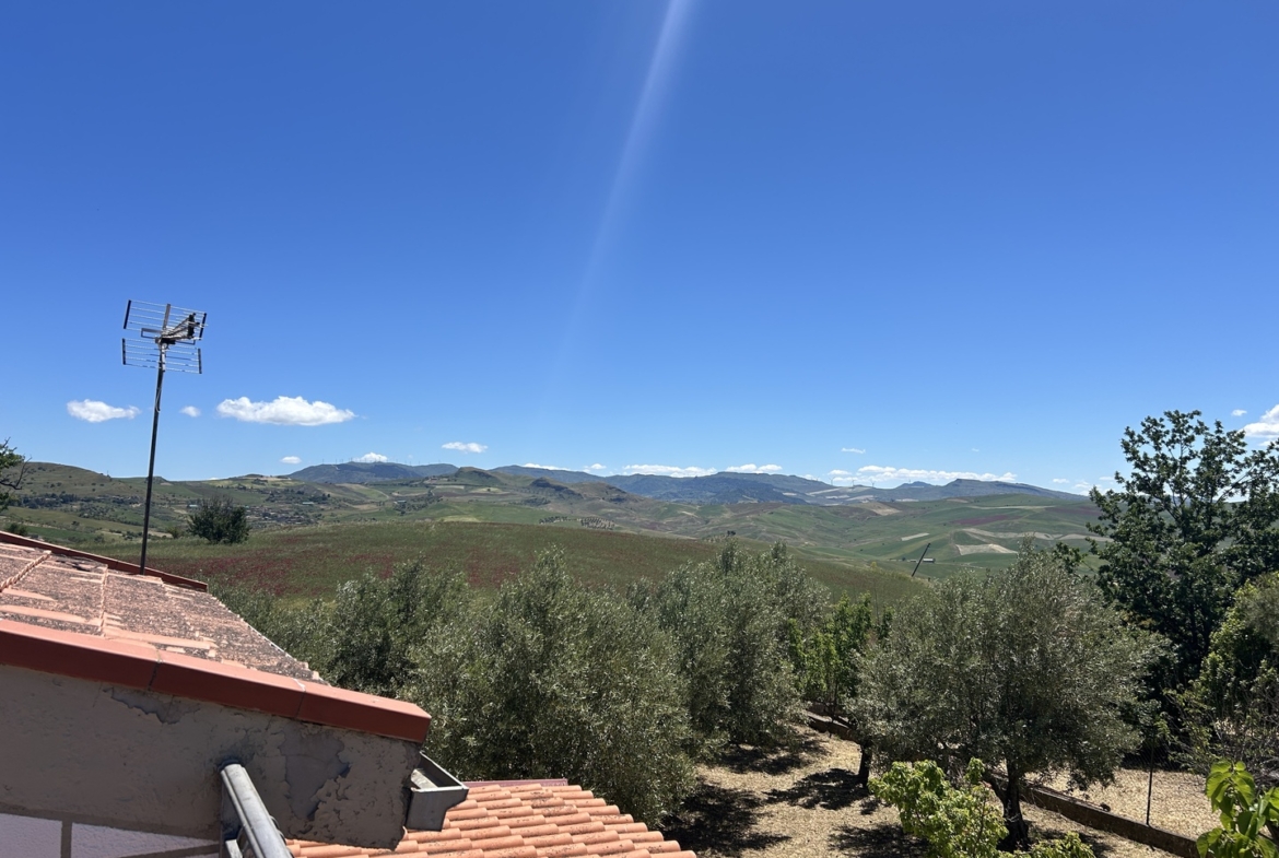 Magazzino con terreno di pertinenza